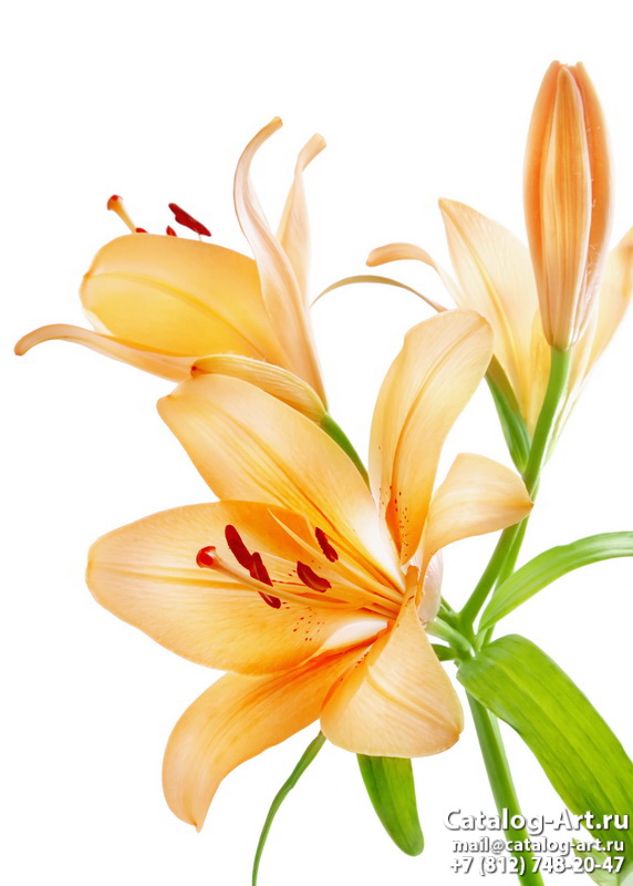 Yellow lilies 9